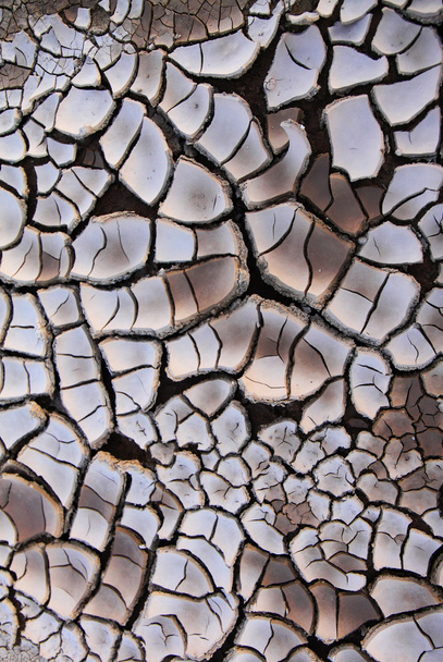 текстура сухой трещины земли - Фото, изображение