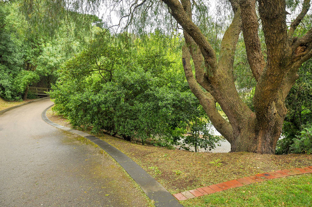 公園ウィルソンの雨の日。公園は、オーストラリアのビクトリア州のベルウィックのプリンスハイウェイに位置しています。. - 写真・画像