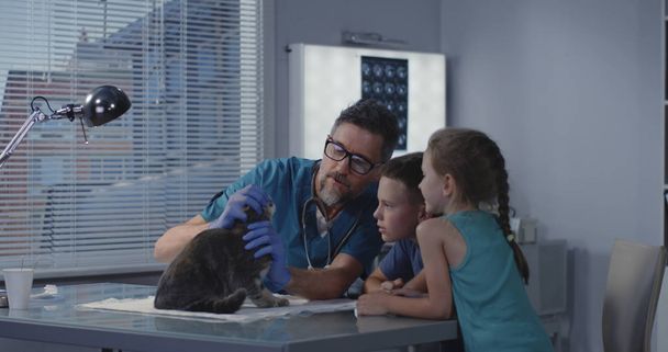 Tierarzt erklärt Katzenherren - Foto, Bild