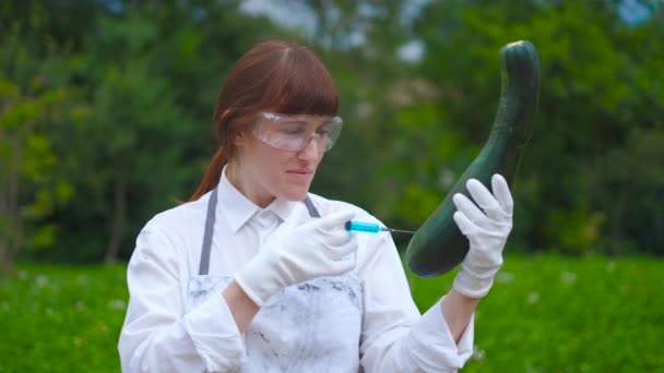 GMO scientist injecting liquid from syringe into zucchini - genetically modified food concept - Footage, Video