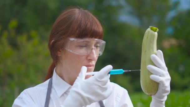 Científico transgénico inyectando líquido de la jeringa en calabacín - concepto de alimento modificado genéticamente
 - Metraje, vídeo