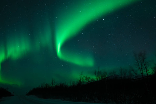 severní světla v Norsku - Fotografie, Obrázek