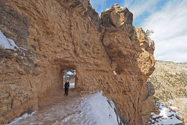 Kobieta na szlaku Bright Angel w wielkim kanionie zimą. - Zdjęcie, obraz
