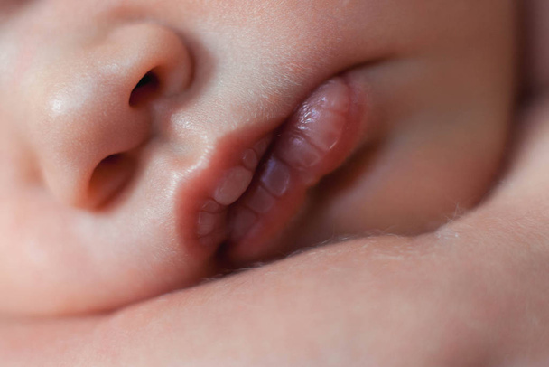 Close up photo of newborn baby lips. - Foto, Bild