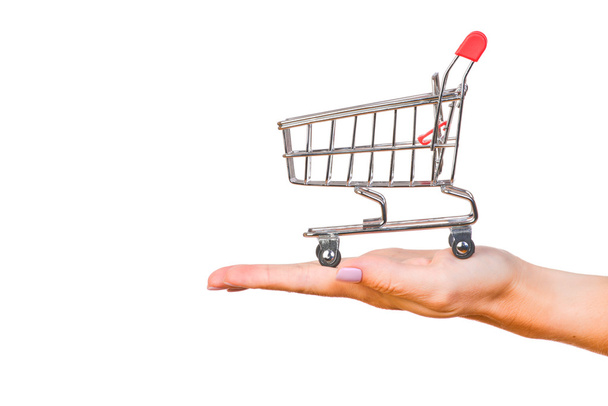 Hand and a shopping cart isolated on white background - Valokuva, kuva