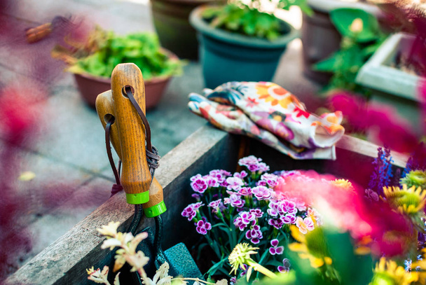 Свежепосаженная сеялка с садовыми инструментами. Хобби и досуг. Летнее садоводство
. - Фото, изображение