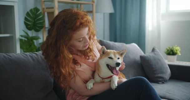 Loving woman speaking to cute dog and stroking animal on sofa in apartment - Filmagem, Vídeo