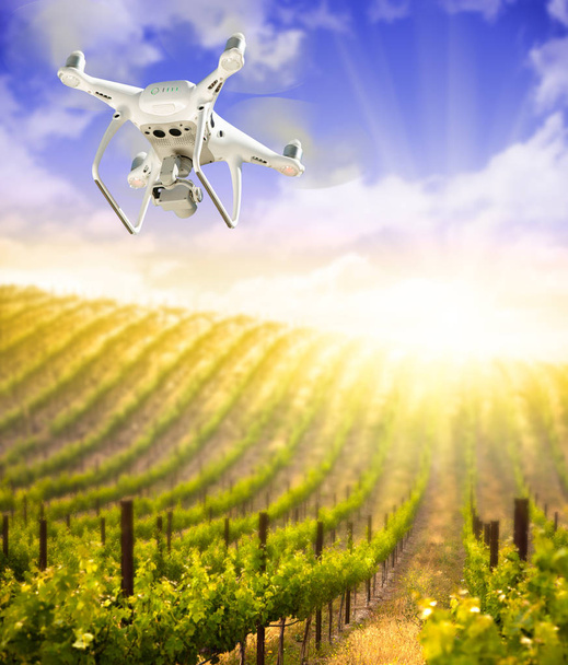 Τηλεκατευθυνόμενο σύστημα αεροσκαφών (UAV) με Ελικοκατευθυνόμενα αεροσκάφη στον αέρα πάνω από το αγρόκτημα αμπελώνων. - Φωτογραφία, εικόνα
