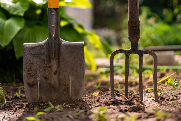 вставленная лопата и вилы в землю в саду
 - Фото, изображение