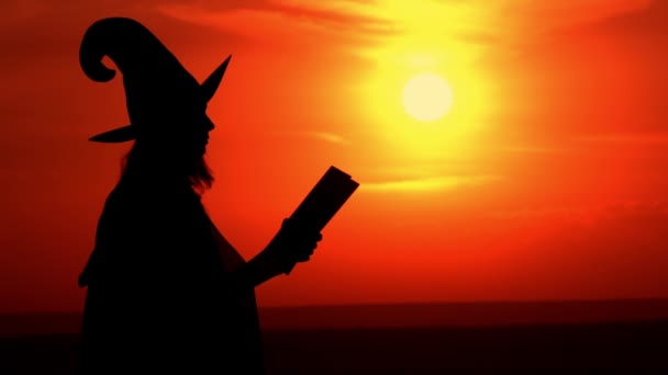 venkovní silueta čarodějnice s velkou kouzelnou knihou - Záběry, video