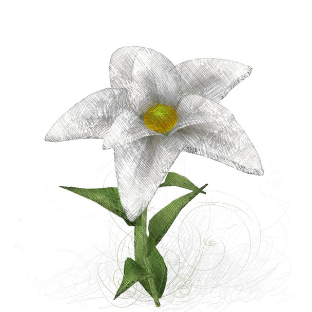 beautiful flower on white background - Foto, Imagen