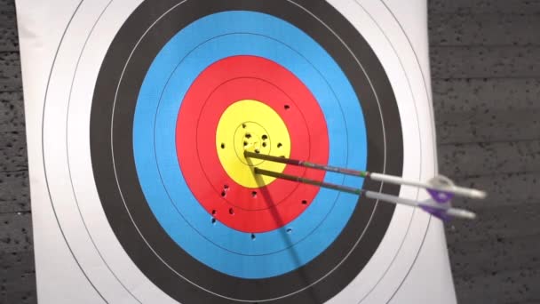 Outdoor Target for archery shooting. Arrow hitting the target.  - Footage, Video