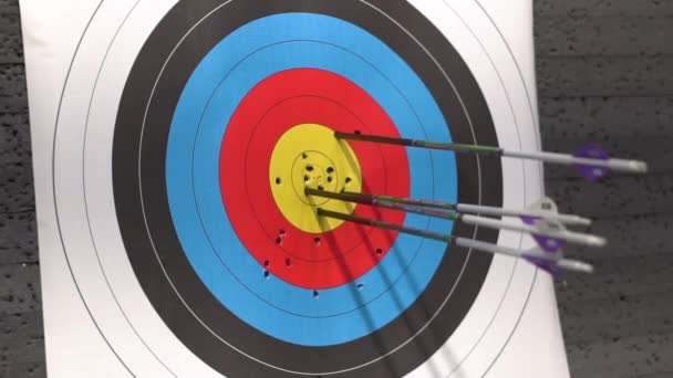 Target for archery shooting. Arrow hitting the target.  - Footage, Video