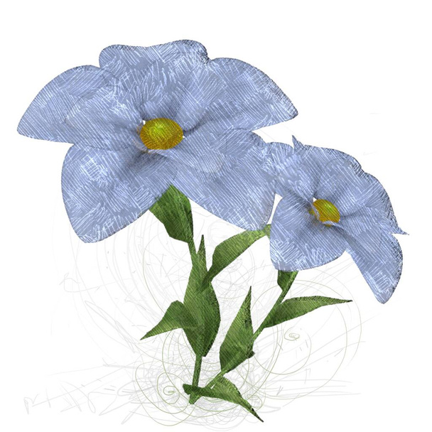 blue orchid flower isolated on white background - 写真・画像