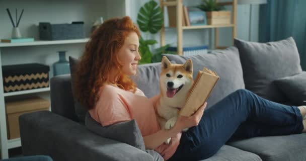 Pretty student reading book in apartment smiling and petting adorable dog - Filmati, video