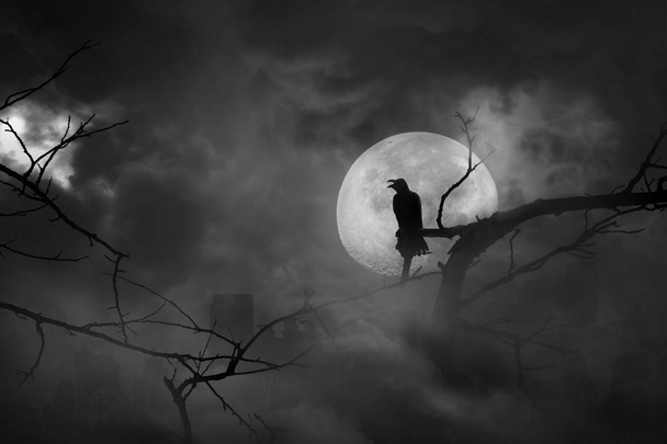 Silhouet van Crow neergestreken op boomtakken in stad verlating  - Foto, afbeelding
