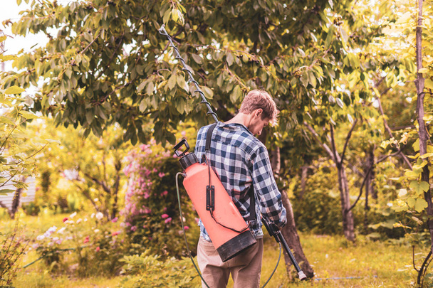 αρσενικό αγρότη που εφαρμόζει προστασία εντομοκτόνου ψεκασμού στα φύλλα δέντρου με τη χρήση αντλίας - Φωτογραφία, εικόνα