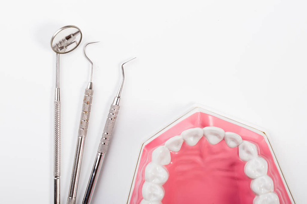 модель зубов и стоматологический инструмент для ухода за зубами на белом фоне
 - Фото, изображение