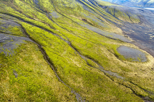 Vibrant green Icelandic moss  - Fotó, kép