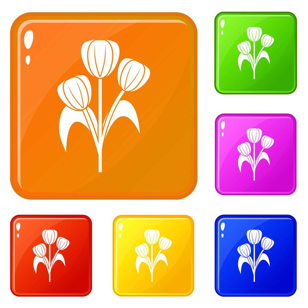 Flowers icons set vector color - Vector, Image