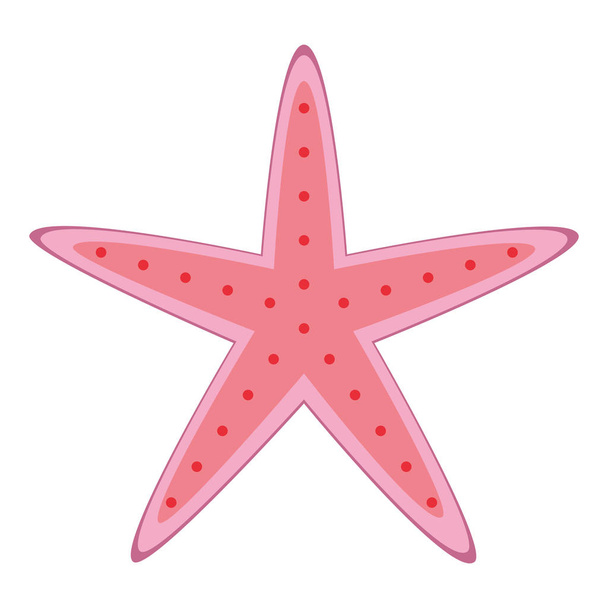 starfish wildlife on white background - Vector, Imagen