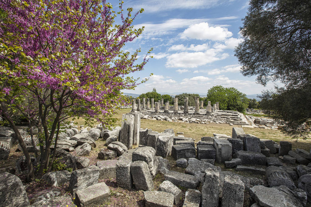  Ruins of the ancient sanctuary Lagina, Turkey - Fotó, kép