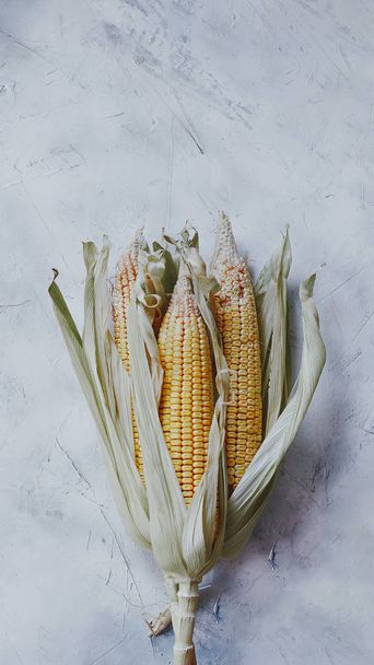 Corn bouquet on bright background - Foto, Imagem
