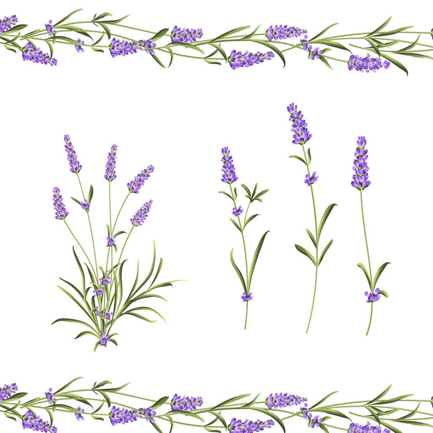 Provence flowers collection. Set of lavender flowers elements. Violet flowers kit. Fashion summer print bundle. Elements for invitation card and your template design. - Vector, Image
