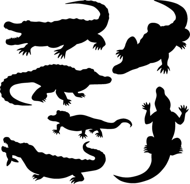 silhouettes de crocodile reptile animal vecteur
 - Vecteur, image