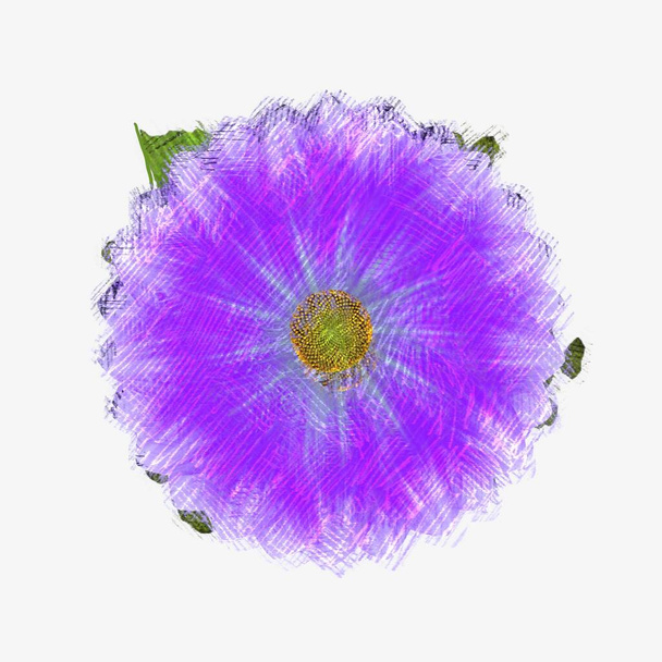 flower isolated on white background - 写真・画像