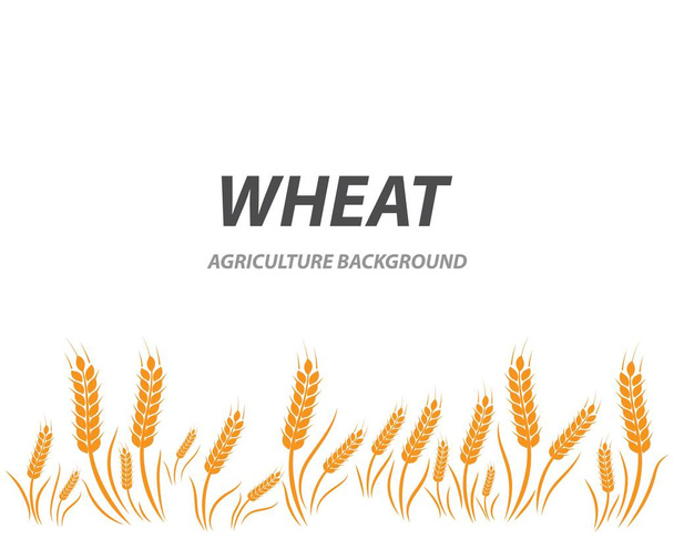 wheat background Template  - Vector, Image