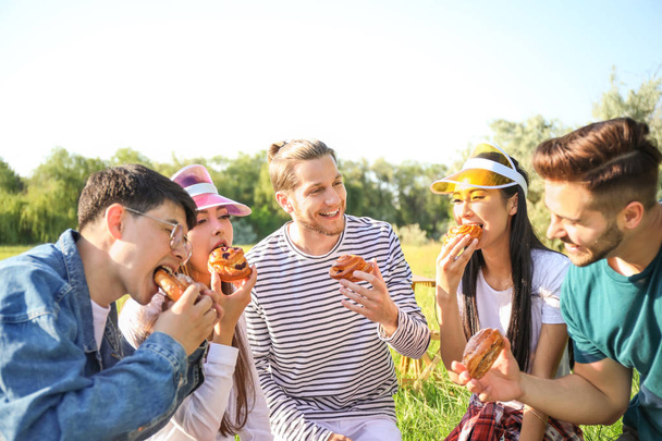 Happy přátelé na piknik v parku - Fotografie, Obrázek