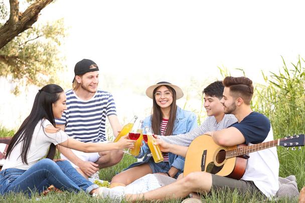 Happy friends on picnic in park - Фото, изображение