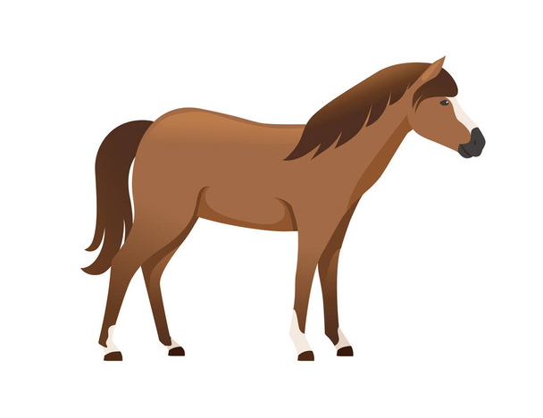 Коричневий кінь диких або домашніх тварин мультфільм дизайн плоский вектор ілюстрація ізольований на білому фоні - Вектор, зображення