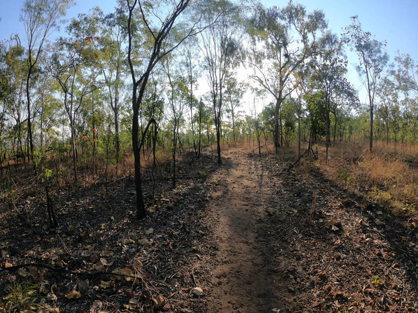 Fußweg Litchfield Nationalpark Northern Territory Australien  - Foto, Bild