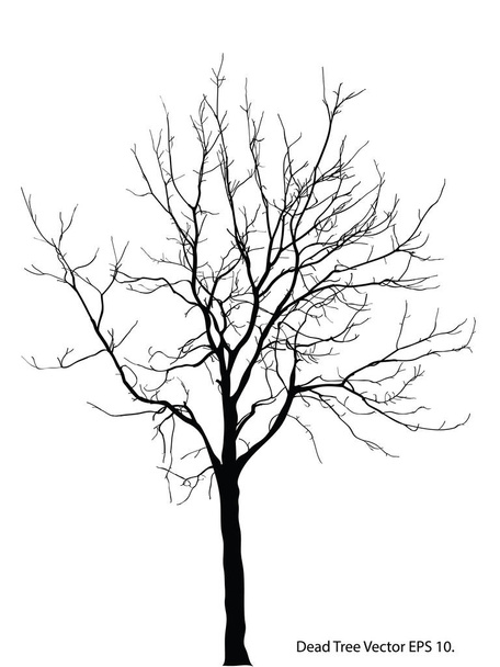 Dead Tree without Leaves Vector Illustration Sketched, EPS 10. - Vector, Image