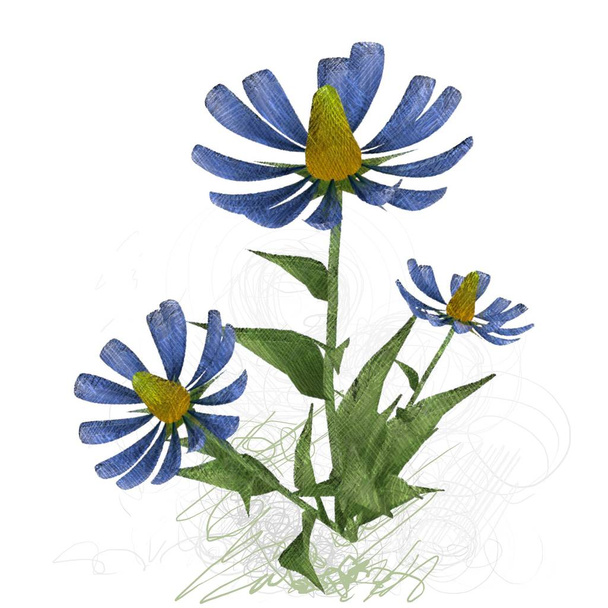 vector illustration of flowers - Foto, Imagem