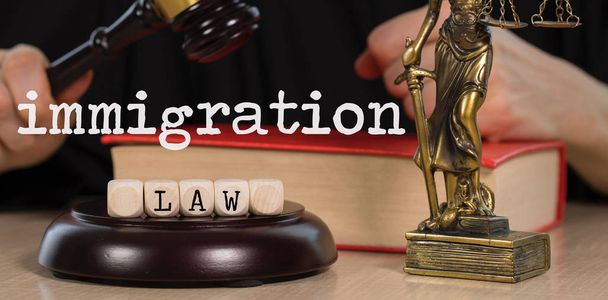 Λέξεις μεταναστευτικό δίκαιο που αποτελείται από ξύλινα dices. Ξύλινο σφυρί και - Φωτογραφία, εικόνα