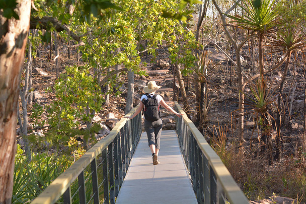 Woman hiking at Litchfield National Park Northern Territory Aust - Photo, Image