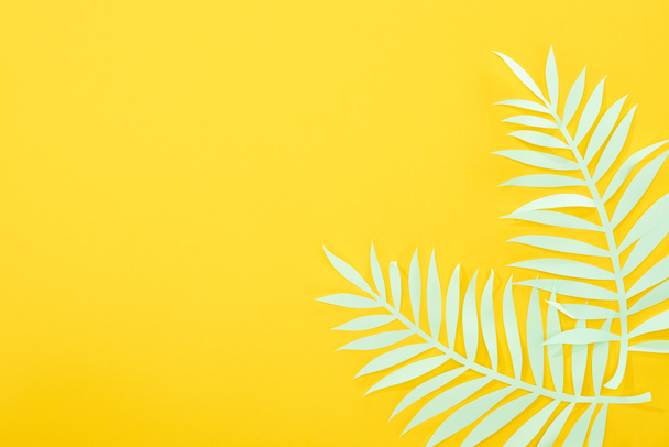 верхний вид бумаги сократить зеленые тропические листья на желтом ярком фоне с копировальным пространством
 - Фото, изображение