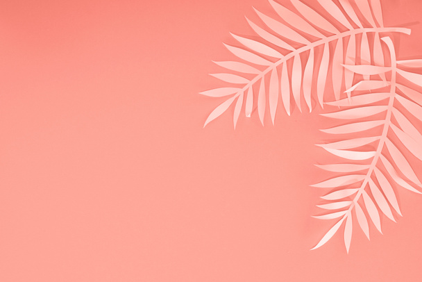 top view of coral tropical paper cut palm leaves, minimalistic background with copy space - Fotoğraf, Görsel