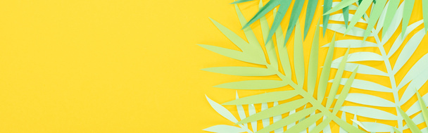 Draufsicht auf Papier geschnittene grüne tropische Blätter auf gelbem, hellem Hintergrund mit Kopierraum, Panoramaaufnahme - Foto, Bild