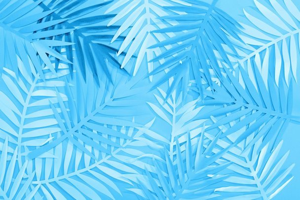 vista dall'alto di foglie di carta su sfondo minimalista blu
 - Foto, immagini