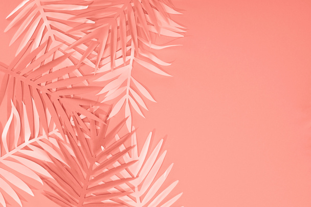 top view of coral tropical paper cut palm leaves, minimalistic background with copy space - Foto, immagini