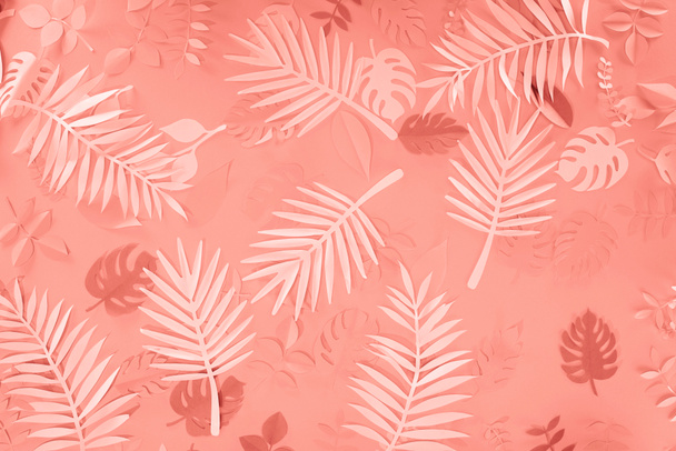 Widok z góry koralowy tropikalny papier cięte liści palmowych, minimalistyczne tło - Zdjęcie, obraz