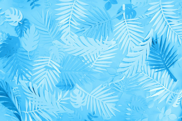 vista superior de hojas de papel exóticas sobre fondo minimalista azul
 - Foto, imagen