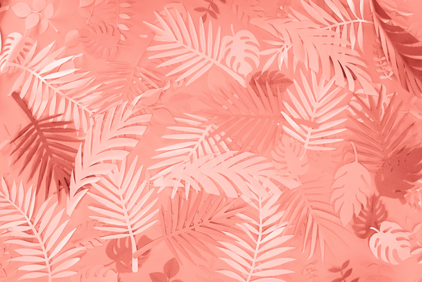 top view of coral tropical paper cut palm leaves, minimalistic background - 写真・画像