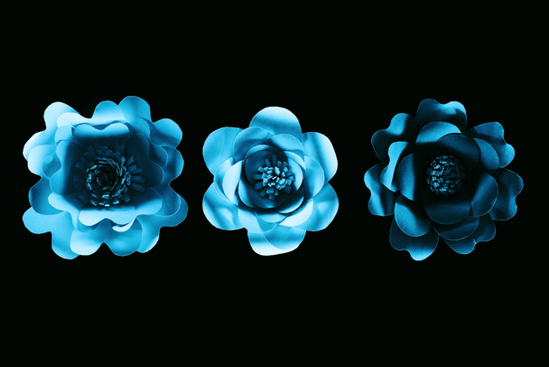 top view of paper cut blue flowers isolated on black with copy space - Φωτογραφία, εικόνα