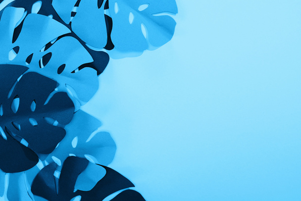 vista superior de hojas tropicales cortadas en papel sobre fondo minimalista azul con espacio para copiar
 - Foto, Imagen