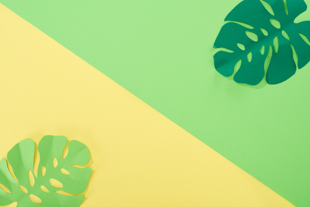 vue du dessus des feuilles tropicales coupées en papier sur fond lumineux jaune et vert avec espace de copie
 - Photo, image